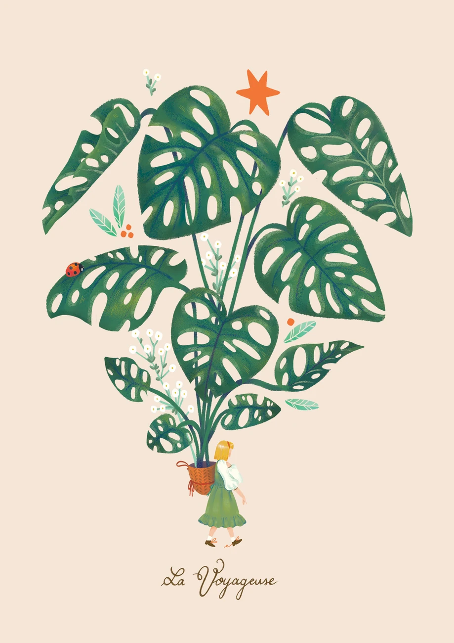 Botanical poster with a giant Monstera